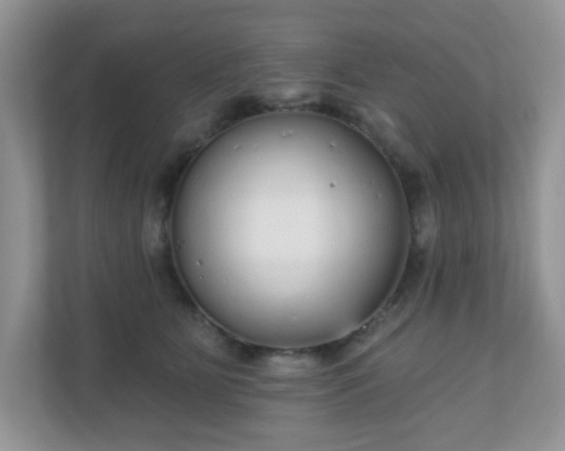 X0000111050515200907021622