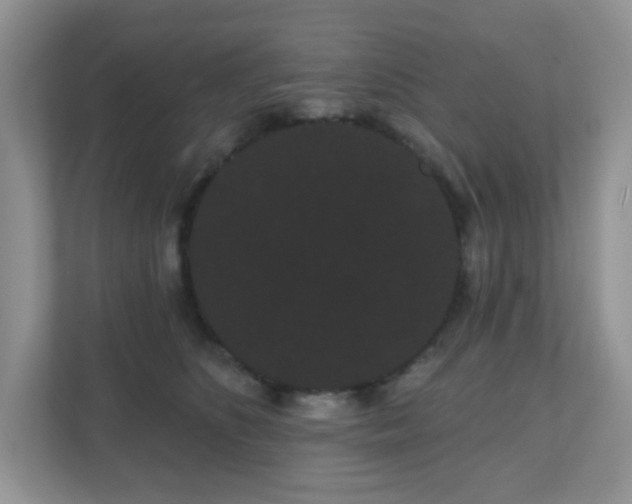 X0000111050516200907021622