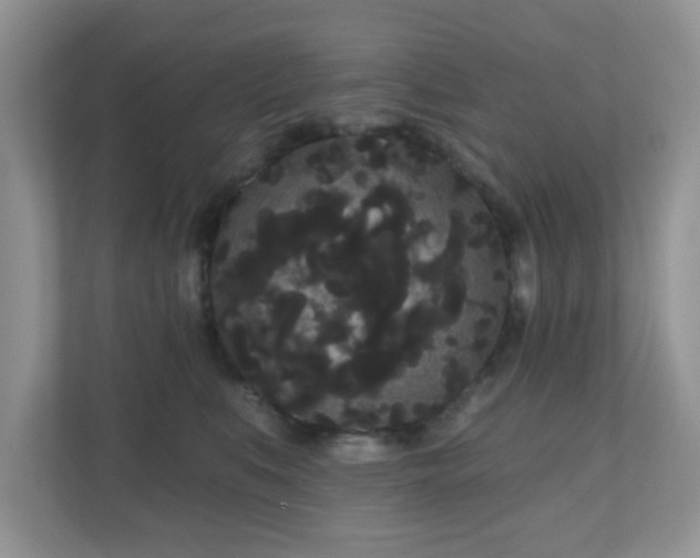 X0000111050519200907021622