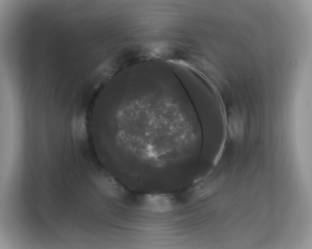 X0000111050520200907021622