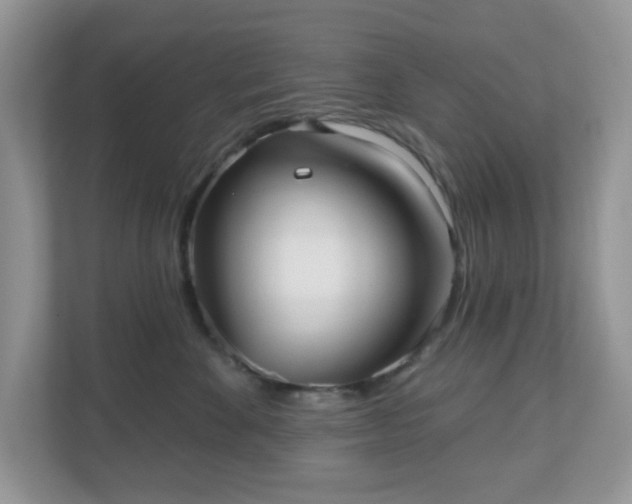 X0000111050524200907021622