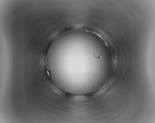 X0000111050525200907021622