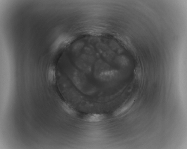 X0000111050527200907021622