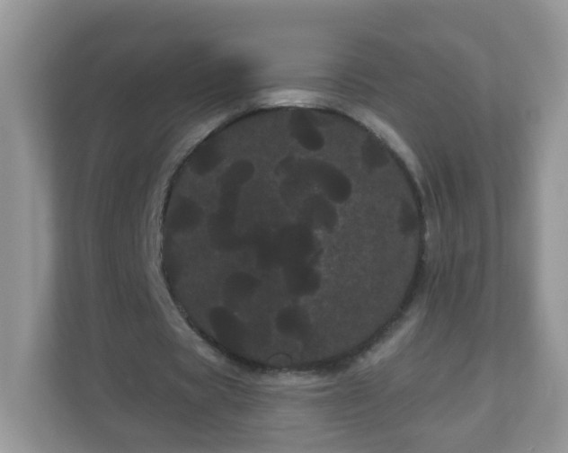 X0000111050529200907021621