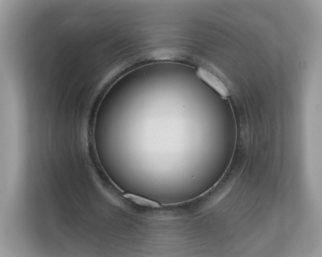 X0000111050530200907021621