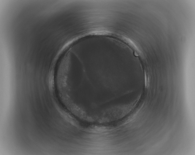 X0000111050531200907021621