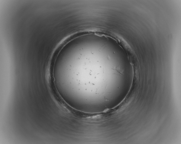 X0000111050532200907021621