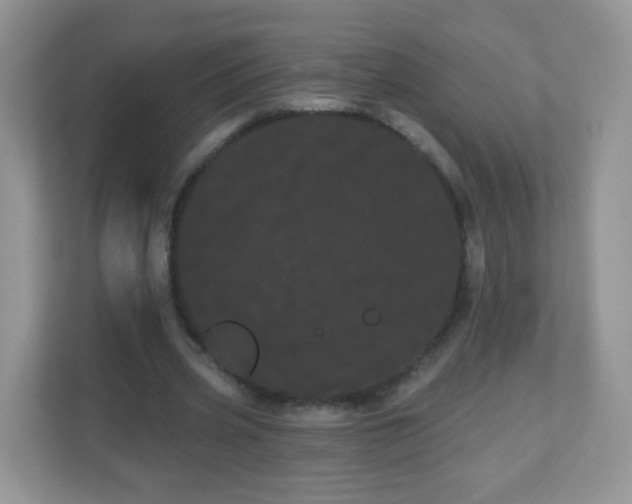 X0000111050533200907021621