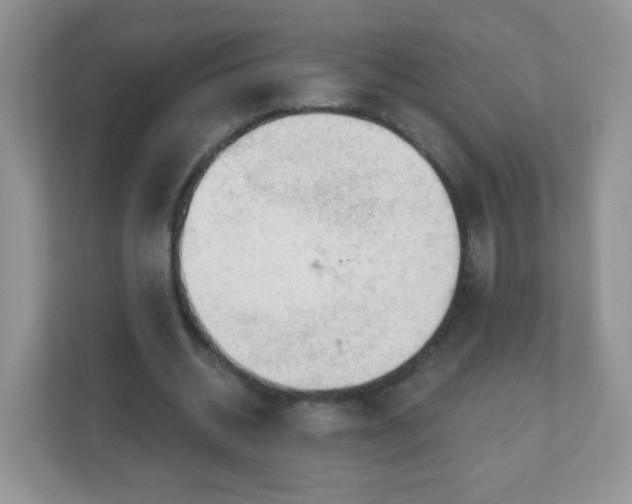 X0000111050534200907021621