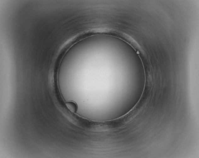 X0000111050535200907021621