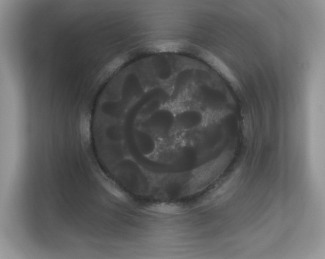 X0000111050537200907021621