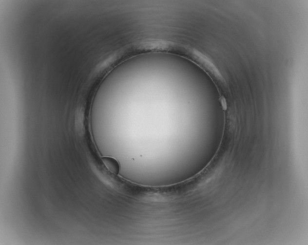 X0000111050538200907021621