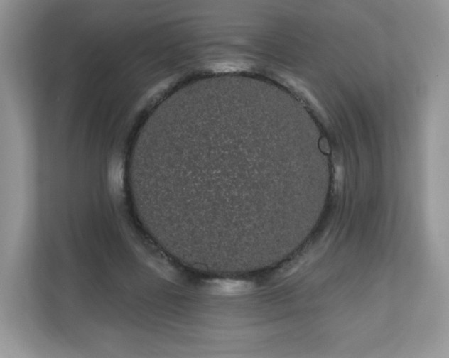 X0000111050539200907021621