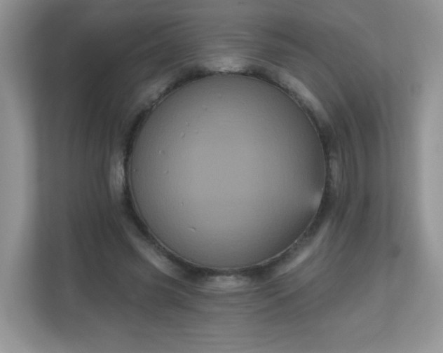 X0000111050541200907021621