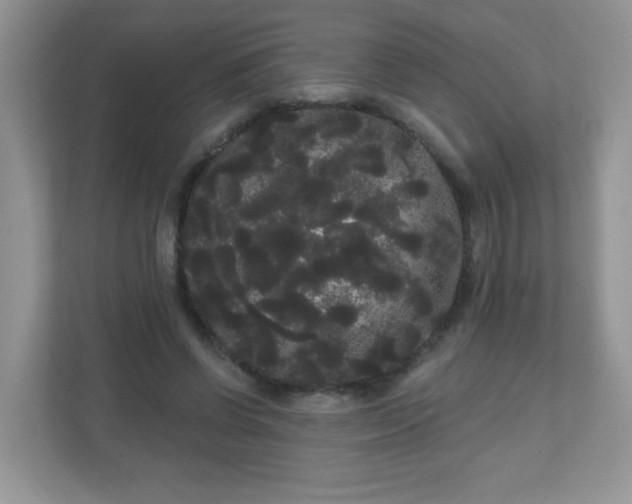 X0000111050542200907021621