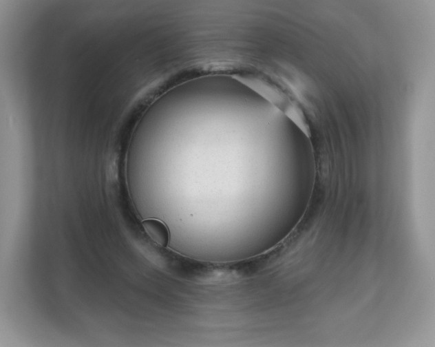 X0000111050543200907021621