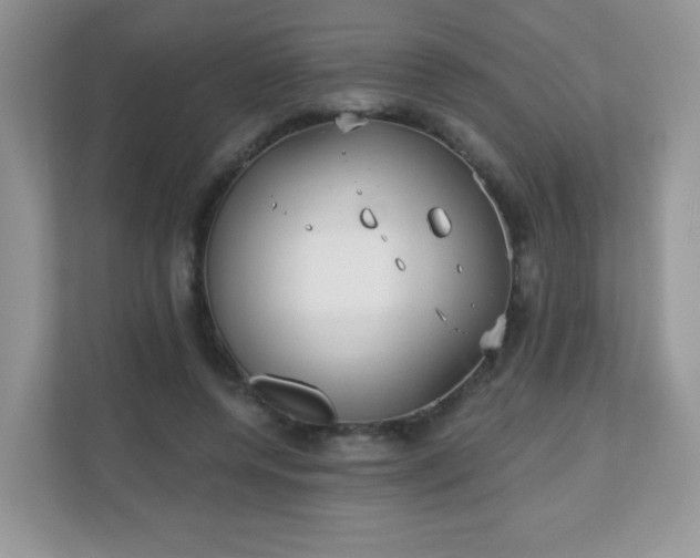 X0000111050544200907021621