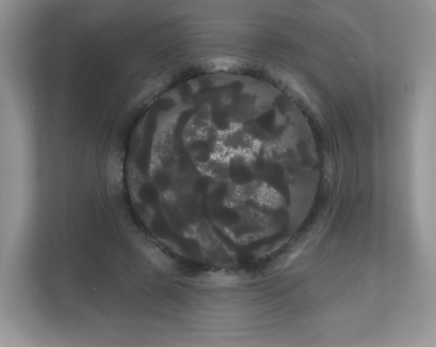 X0000111050545200907021621