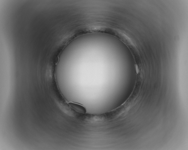 X0000111050546200907021621