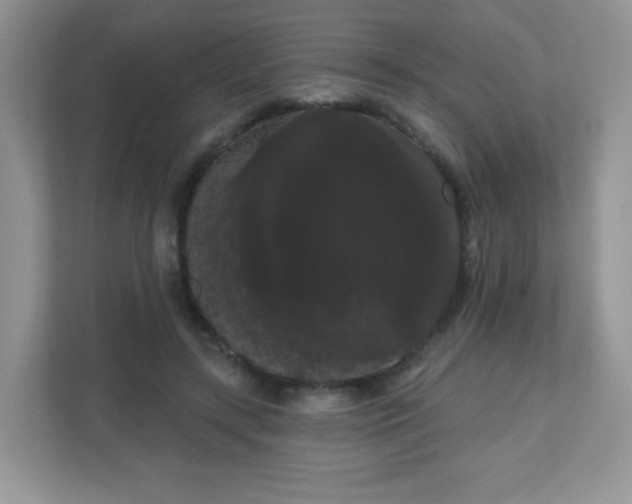 X0000111050547200907021621