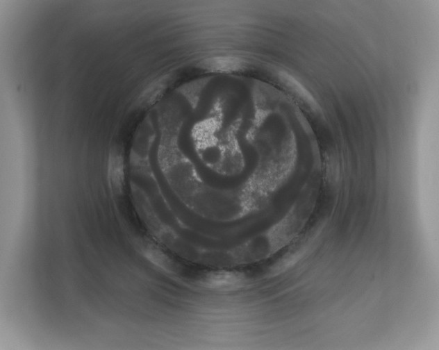 X0000111050549200907021622