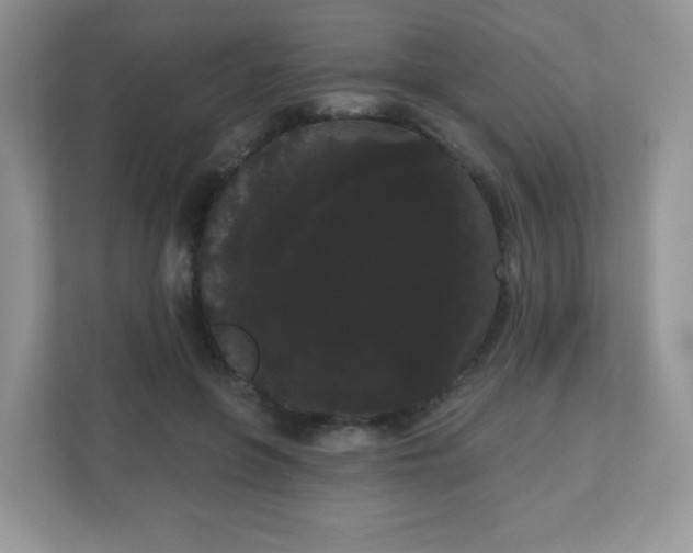 X0000111050551200907021622