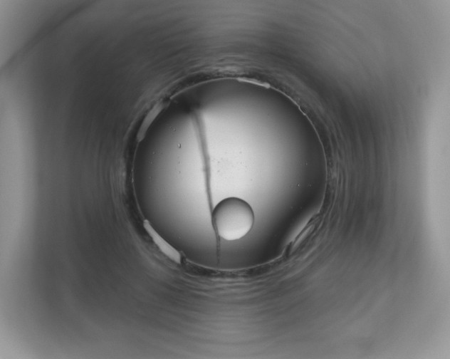 X0000111050552200907021622