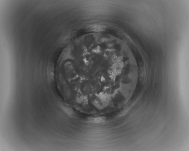 X0000111050553200907021622