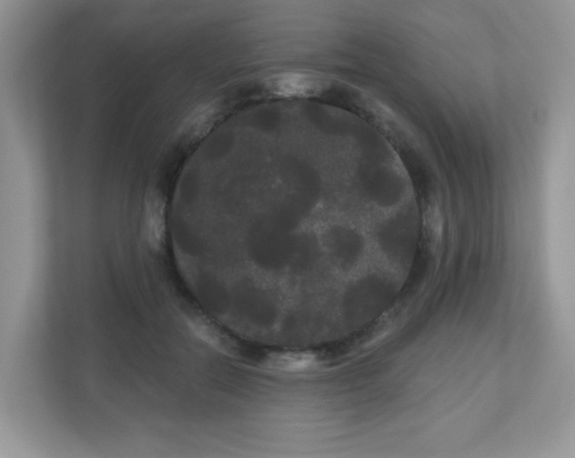 X0000111050554200907021622