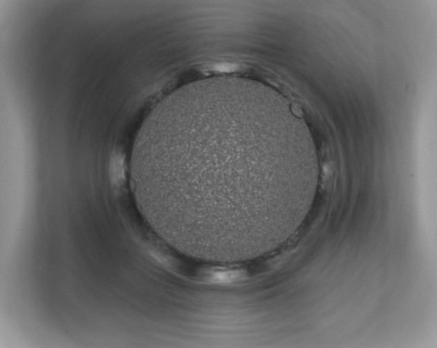 X0000111050555200907021622