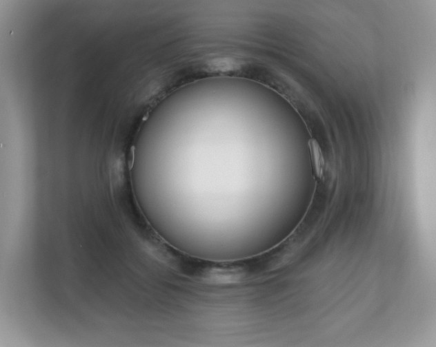 X0000111050556200907021622