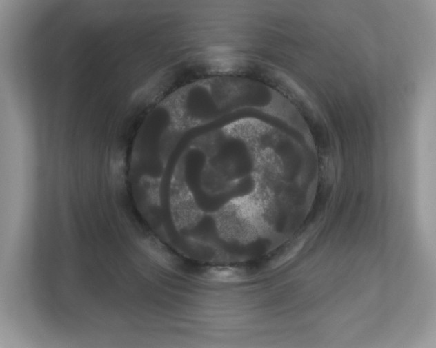 X0000111050557200907021622