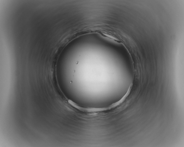 X0000111050558200907021622