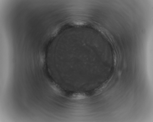 X0000111050559200907021622