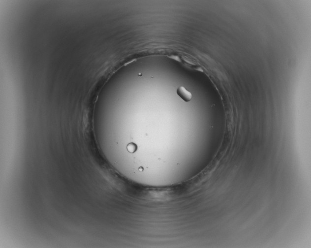 X0000111050560200907021622