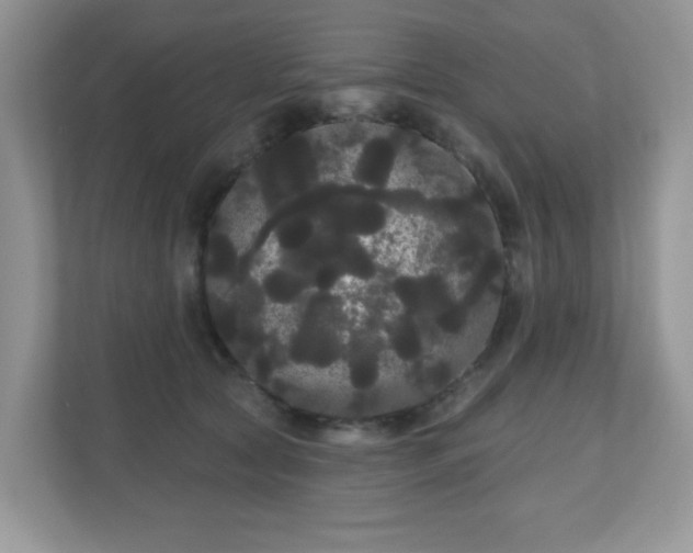 X0000111050561200907021622