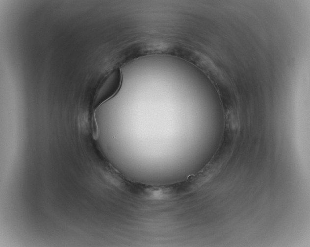 X0000111050564200907021622