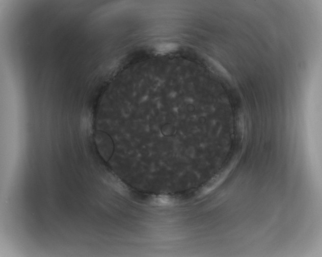 X0000111050565200907021622