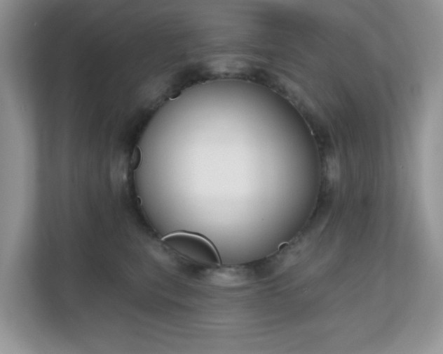 X0000111050567200907021622