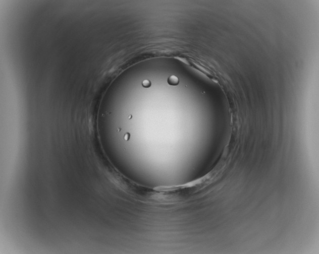 X0000111050568200907021622