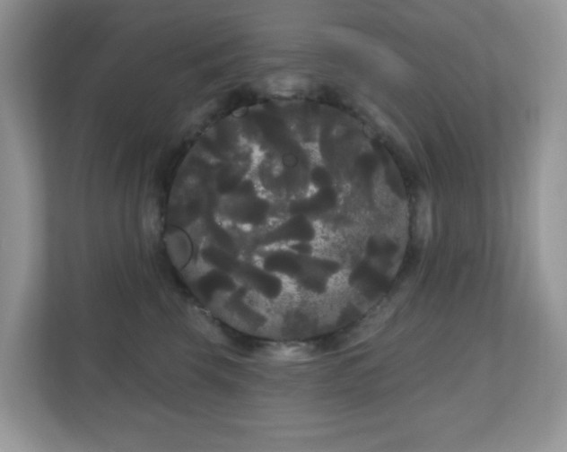 X0000111050569200907021622