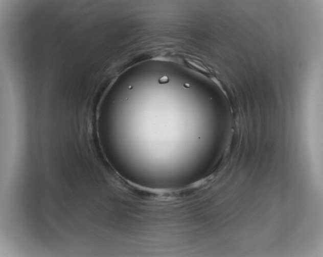 X0000111050570200907021622