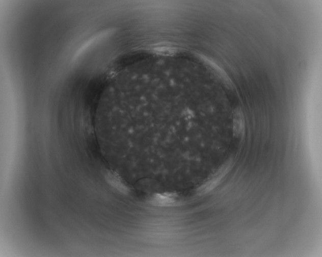 X0000111050573200907021622