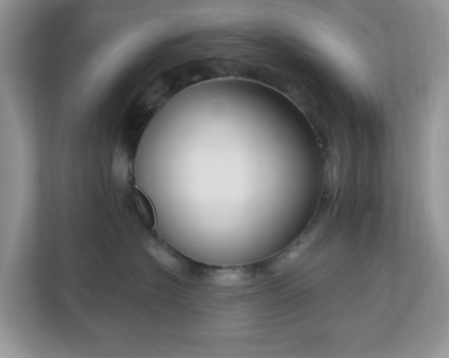 X0000111050574200907021622