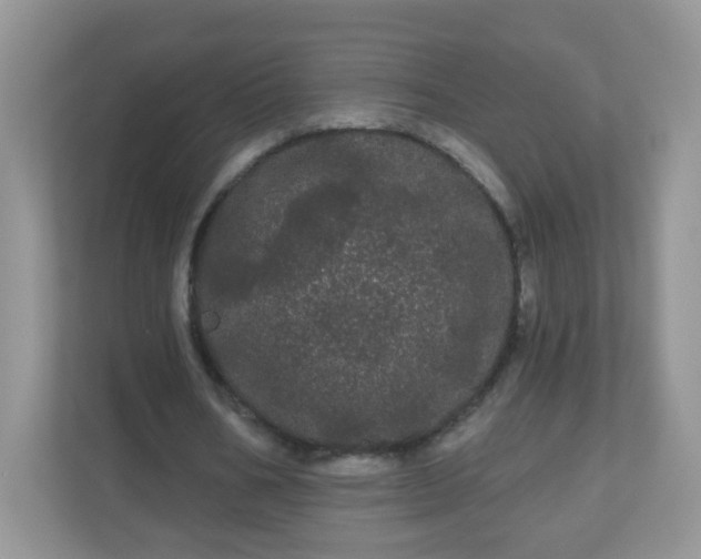 X0000111050578200907021621