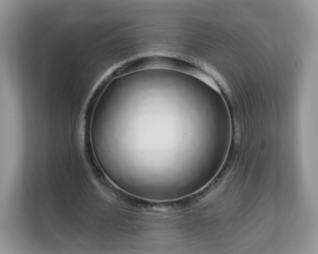 X0000111050580200907021621