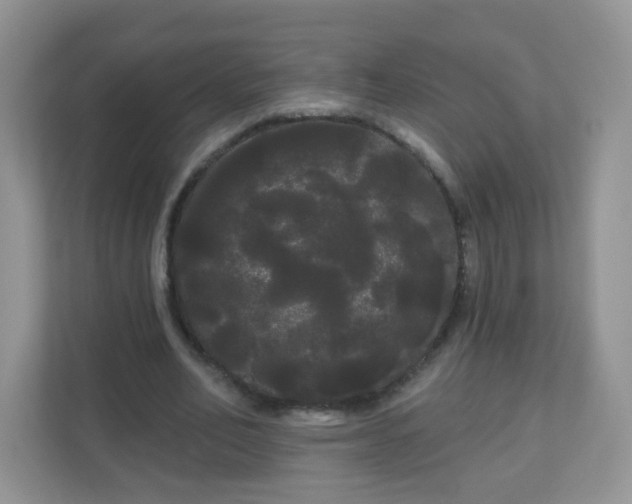 X0000111050582200907021621