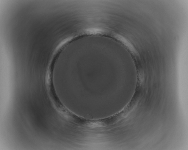 X0000111050583200907021621