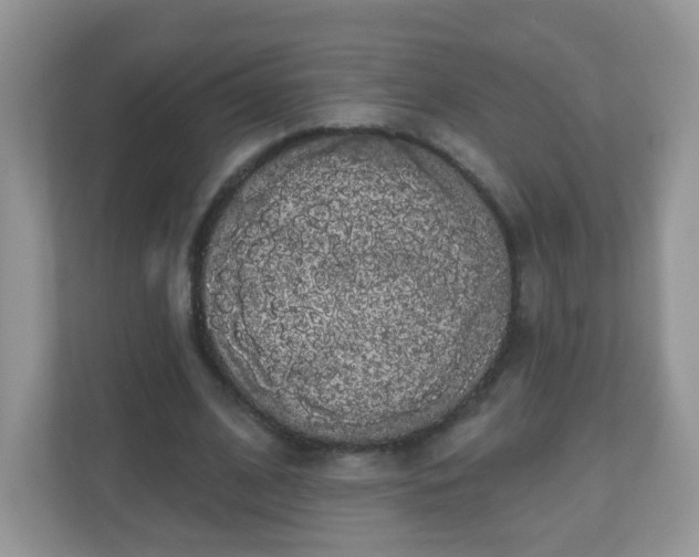 X0000111050584200907021621