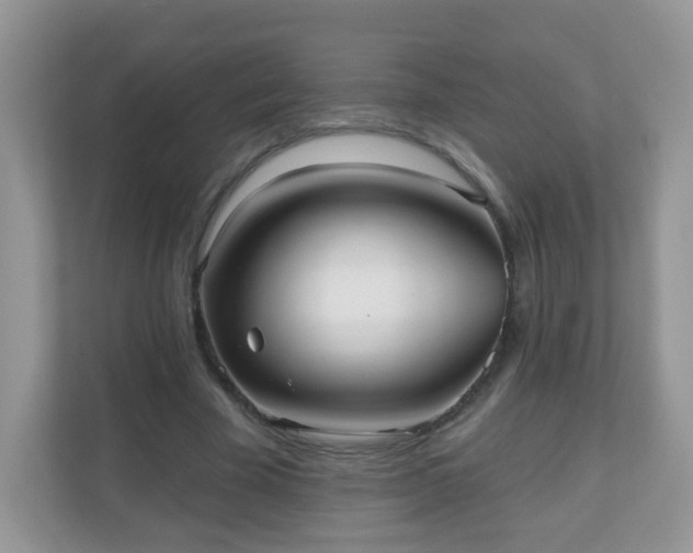 X0000111050585200907021621